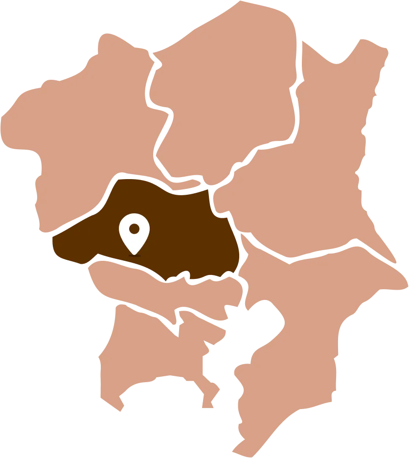 埼玉県飯能市を中心とする関東の地図